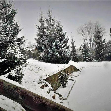 Cottage Ozerniy Łazieszczina Zewnętrze zdjęcie