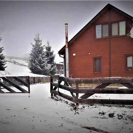 Cottage Ozerniy Łazieszczina Zewnętrze zdjęcie