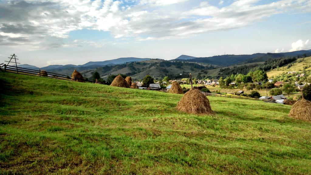 Cottage Ozerniy Łazieszczina Zewnętrze zdjęcie